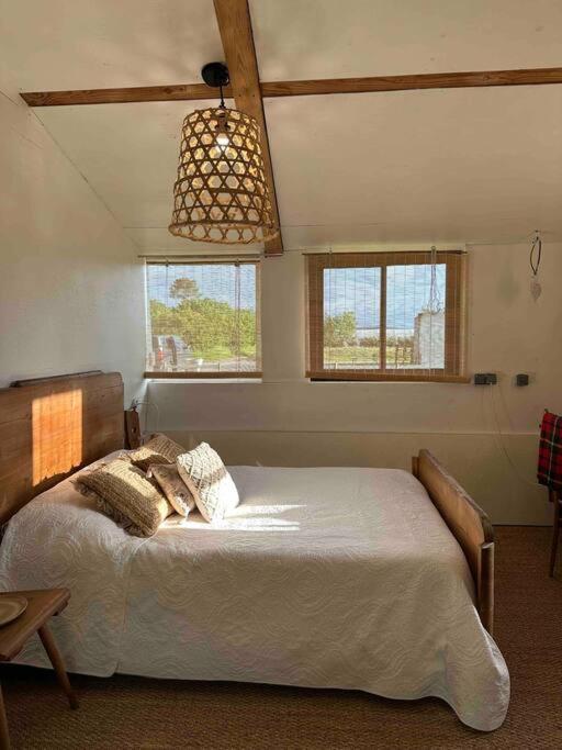 Cosy Cabane Boise Solaire, Balneo Bath Et Toilette Seche A La Ferme Mimizan Extérieur photo