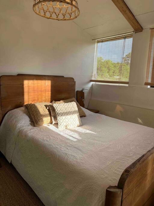 Cosy Cabane Boise Solaire, Balneo Bath Et Toilette Seche A La Ferme Mimizan Extérieur photo